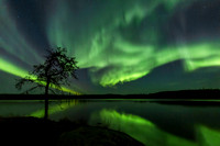 7. Northern Lights over Pickerel Lake, Northwest Territories