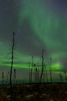 10. Northern Lights near Yellowknife, Northwest Territories