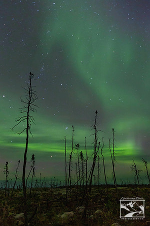 10. Northern Lights near Yellowknife, Northwest Territories